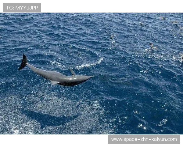 凯恩强势压住防守后转身打门——在训练场上复刻瞬间艺术